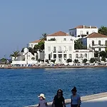 Oliva *