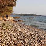 Oliva