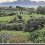 Oliva