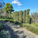 Oliva