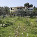 Oliva * بورتو خيلي