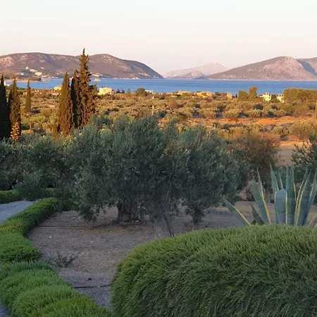Oliva Porto Heli