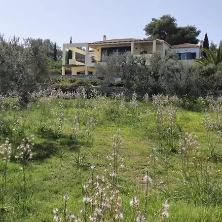 Oliva * Pórto Héli