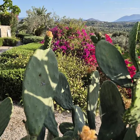 Oliva Villa