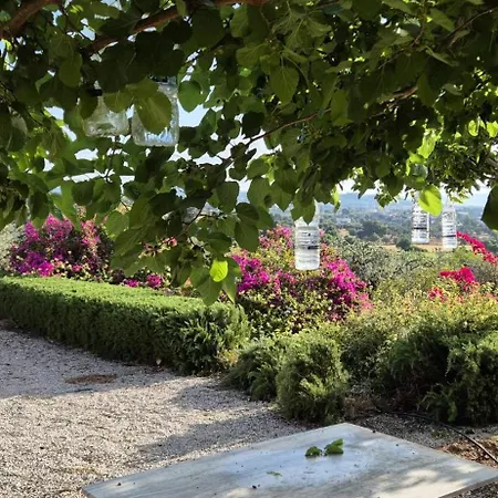 Villa Oliva Pórto Héli