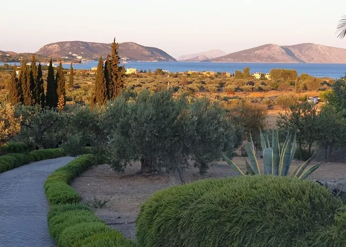 Oliva Πόρτο Χέλι