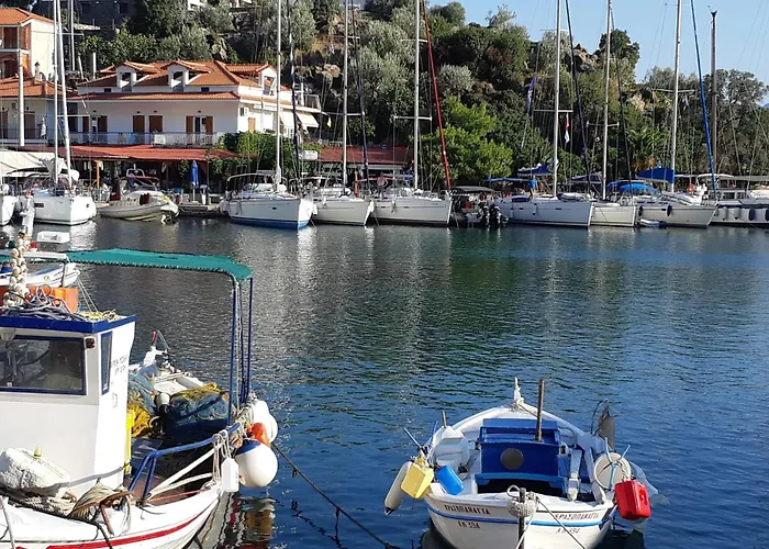 Oliva Πόρτο Χέλι