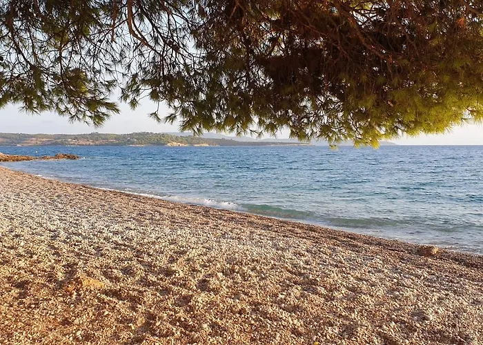 Oliva Πόρτο Χέλι