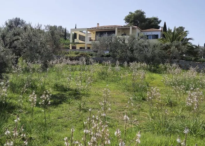 Oliva * Πόρτο Χέλι