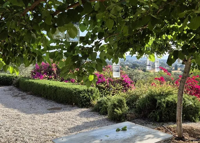 Βίλα Oliva Πόρτο Χέλι